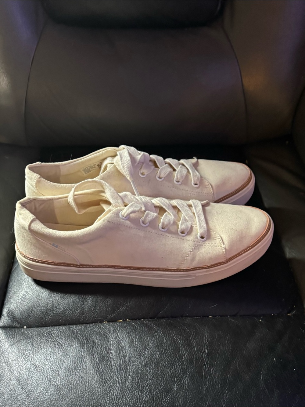 Toms Women’s Alex Sneakers
